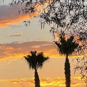 Meet your Posher, Annette